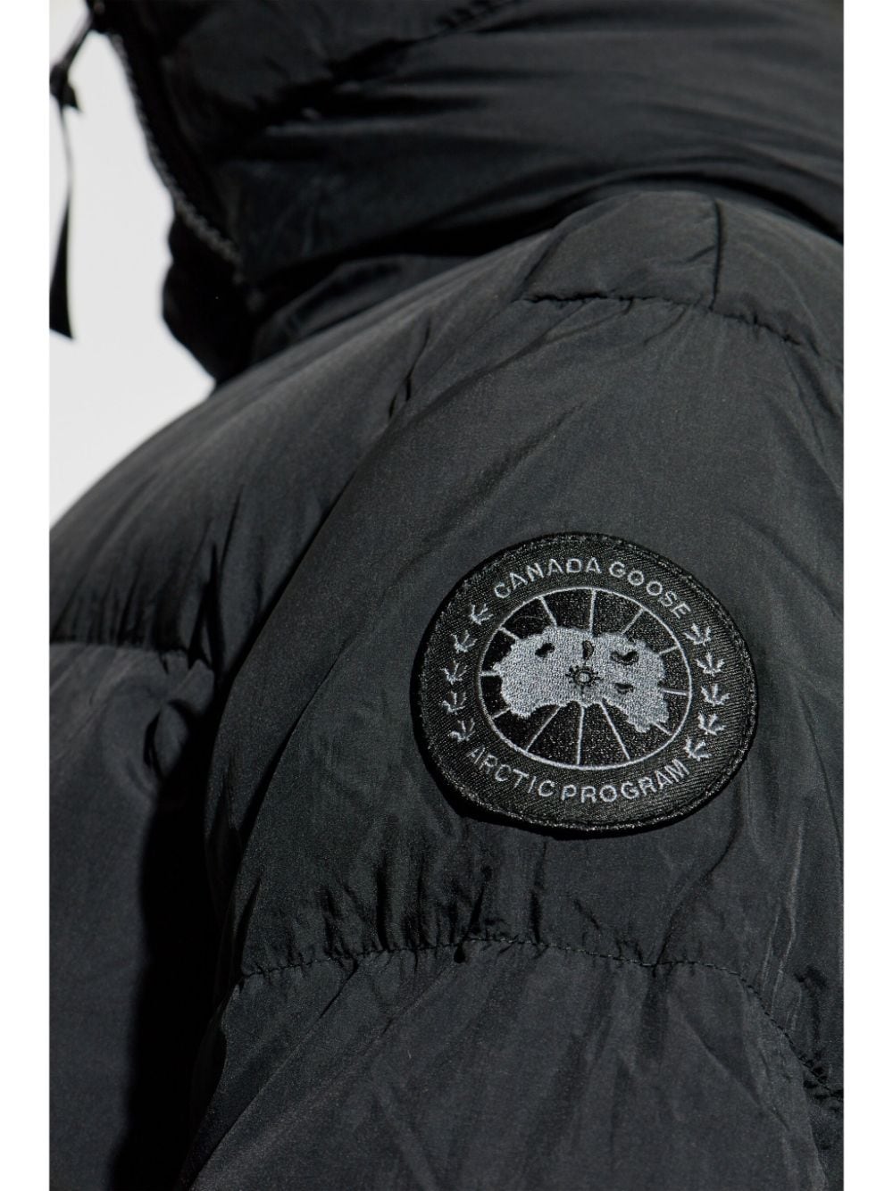 Canada Goose Coats Black image 1