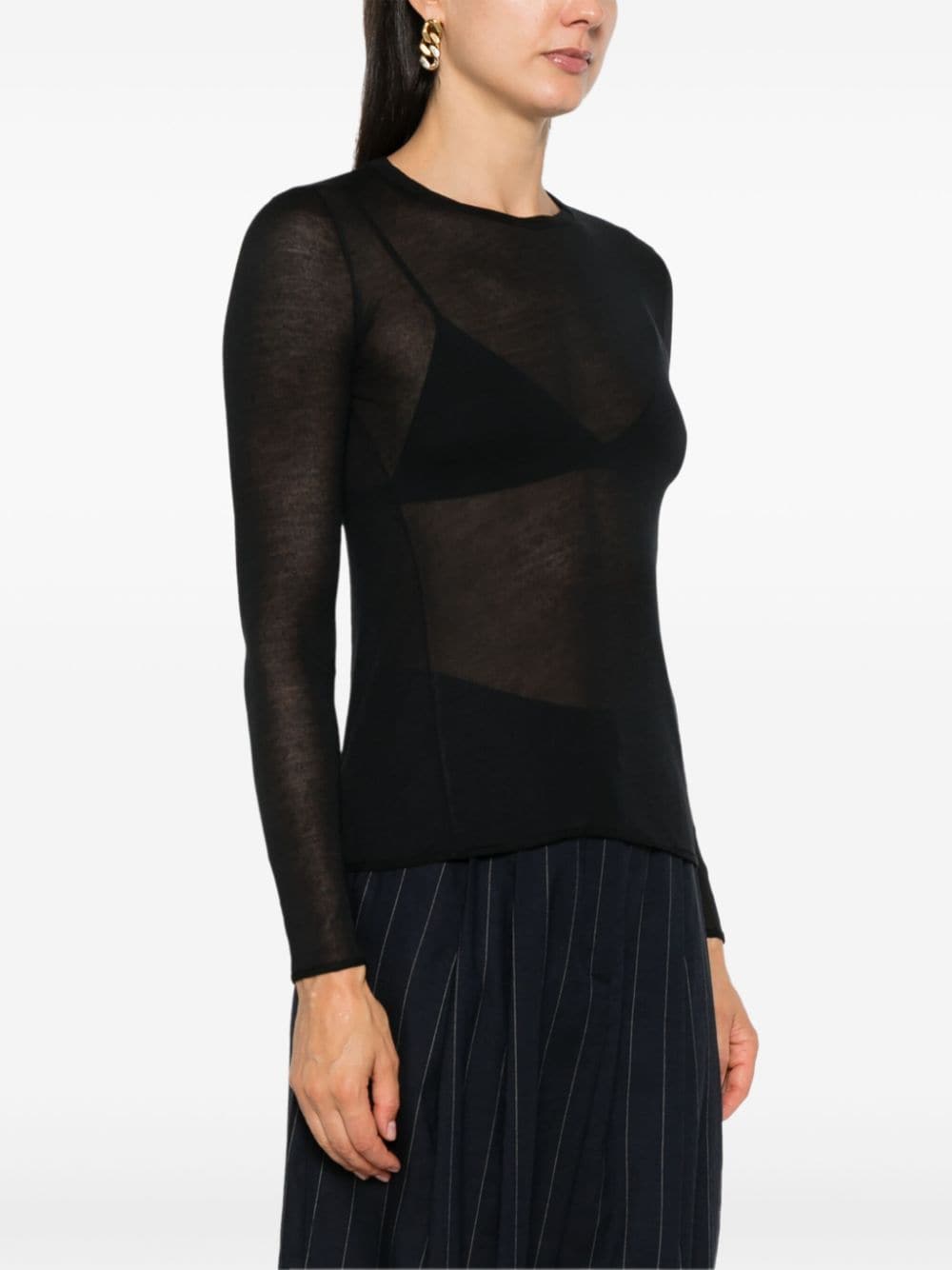 Majestic Black Semi-Sheer Crew Neck Sweater image 1