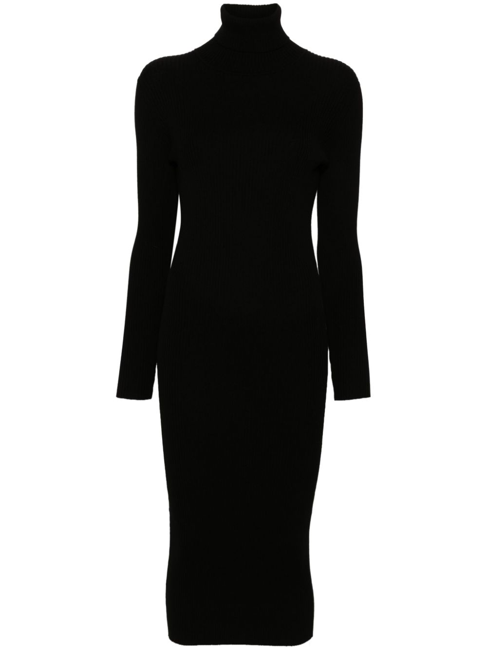 Parosh Black Ribbed Knit Roll Neck Dress image 0