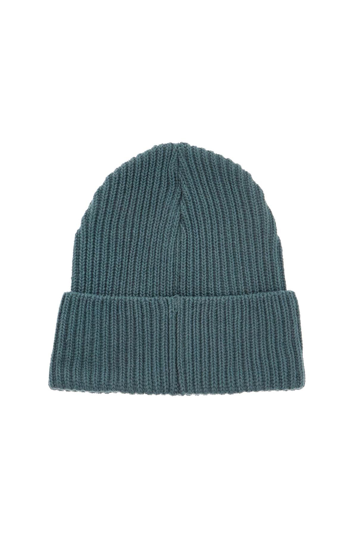 Patagonia Fisherman's Rolled Beanie Hat image 1