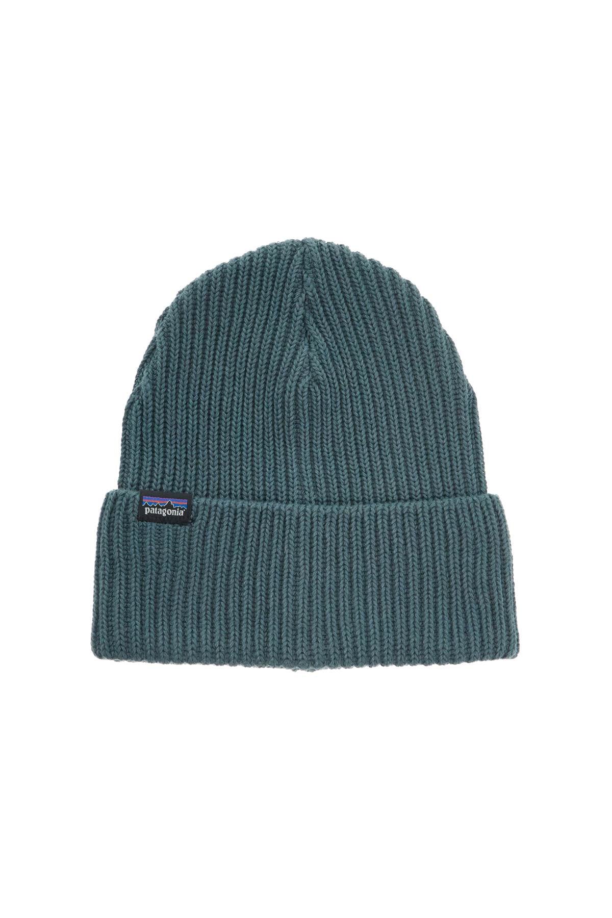 Patagonia Fisherman's Rolled Beanie Hat image 0