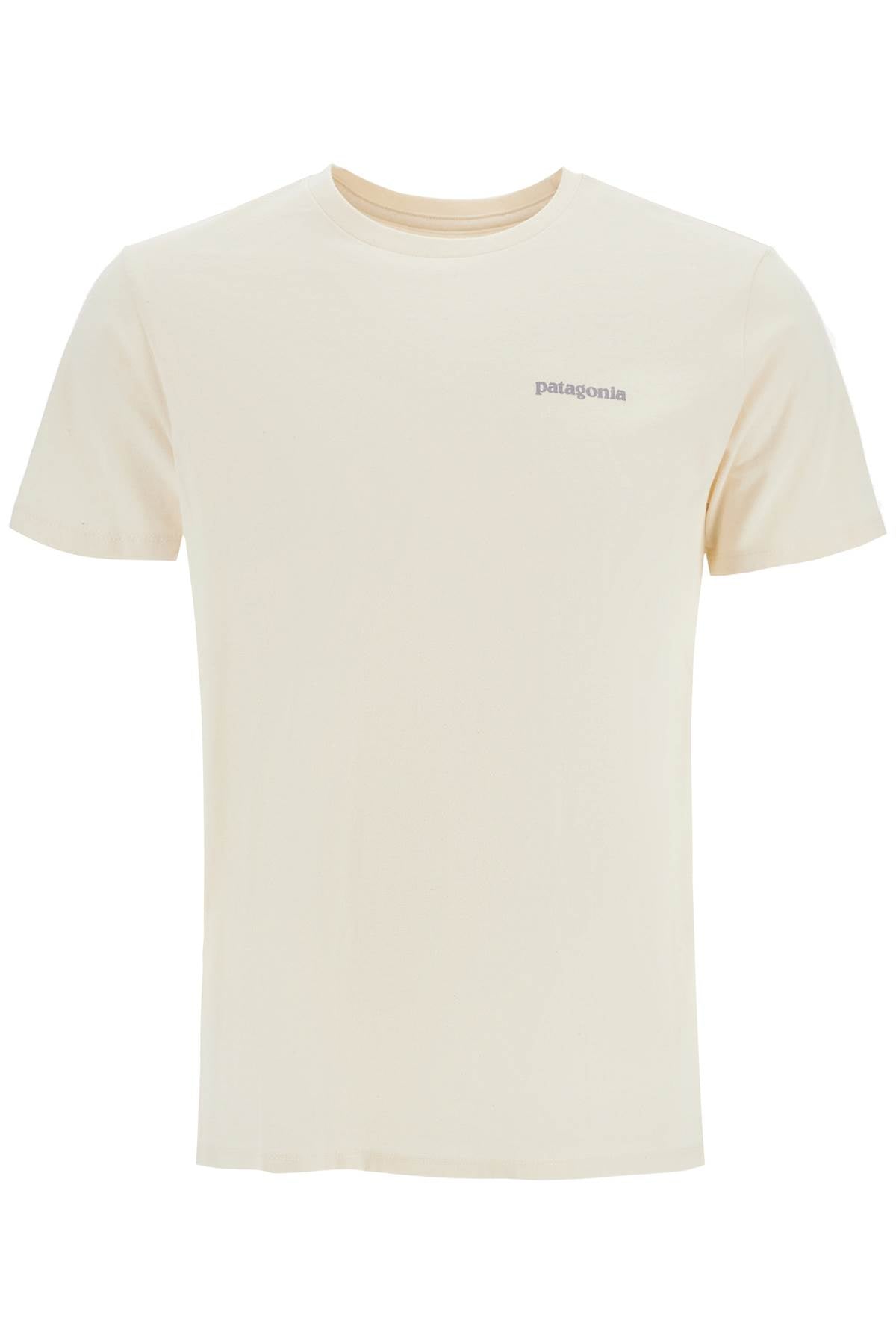 Patagonia Fitz Roy Icon Responsibili-T Crewneck T-Shirt image 0