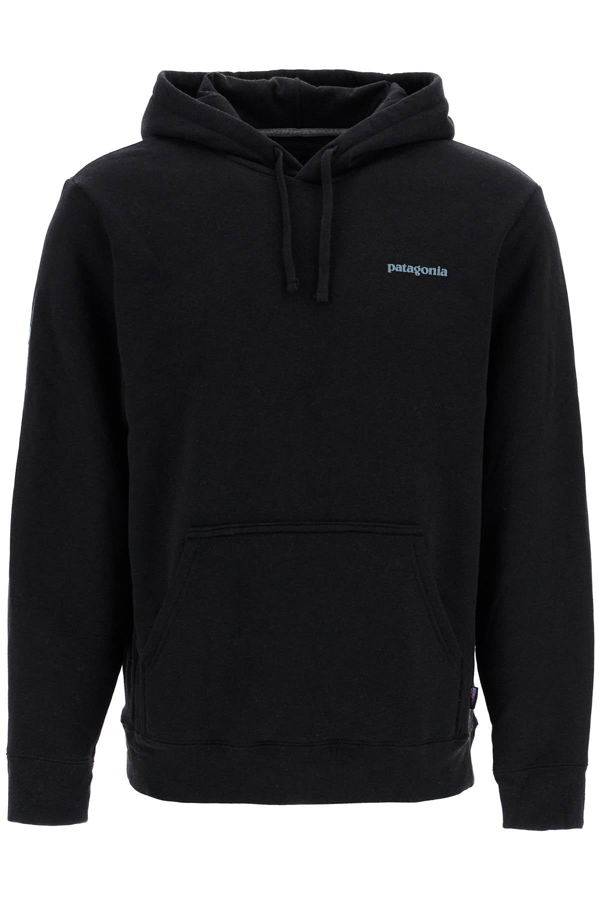 Patagonia Fitz Roy Hoodie - Men's image 0