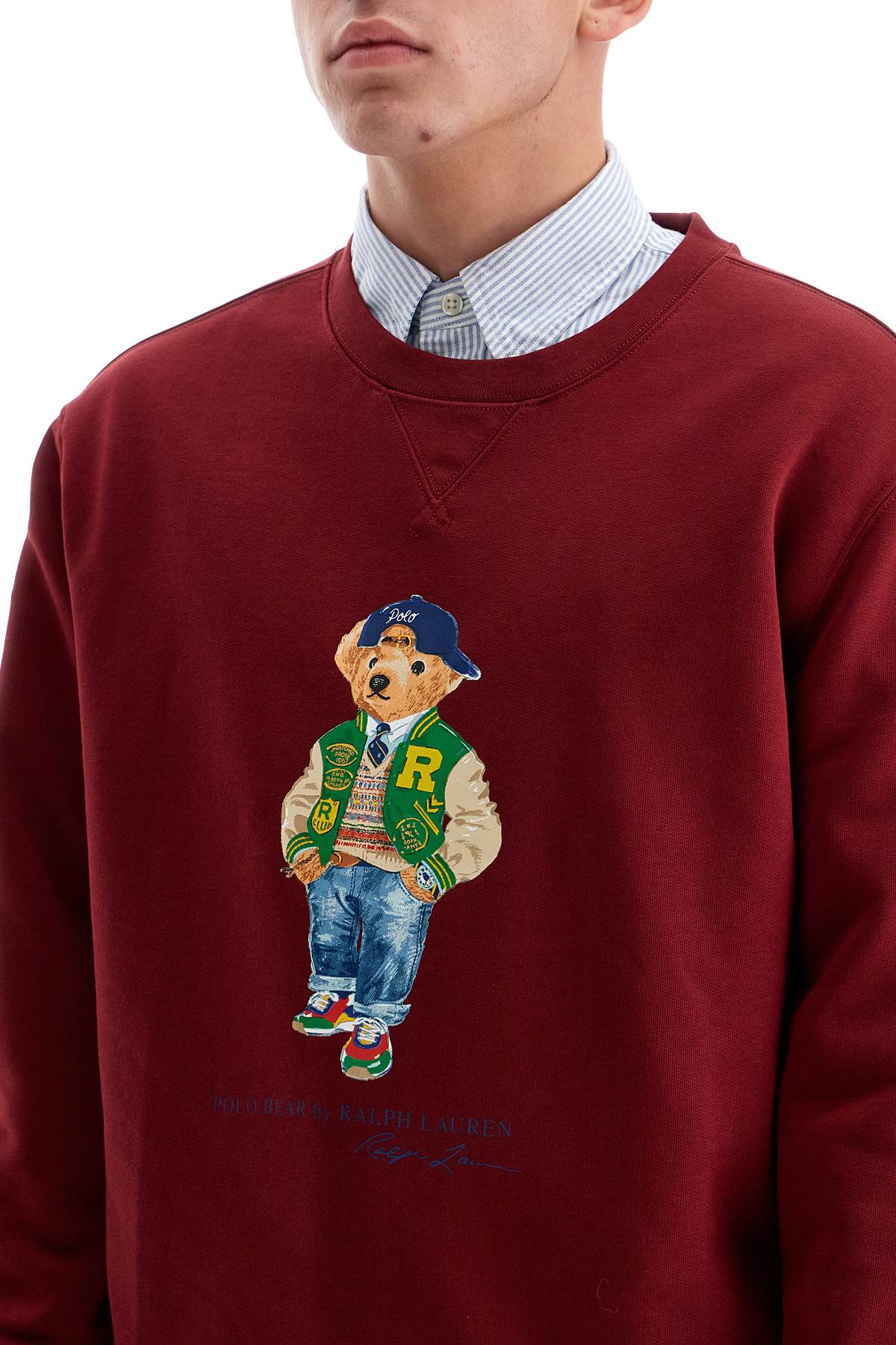 Polo Ralph Lauren Polo Bear Crewneck Sweatshirt image 3