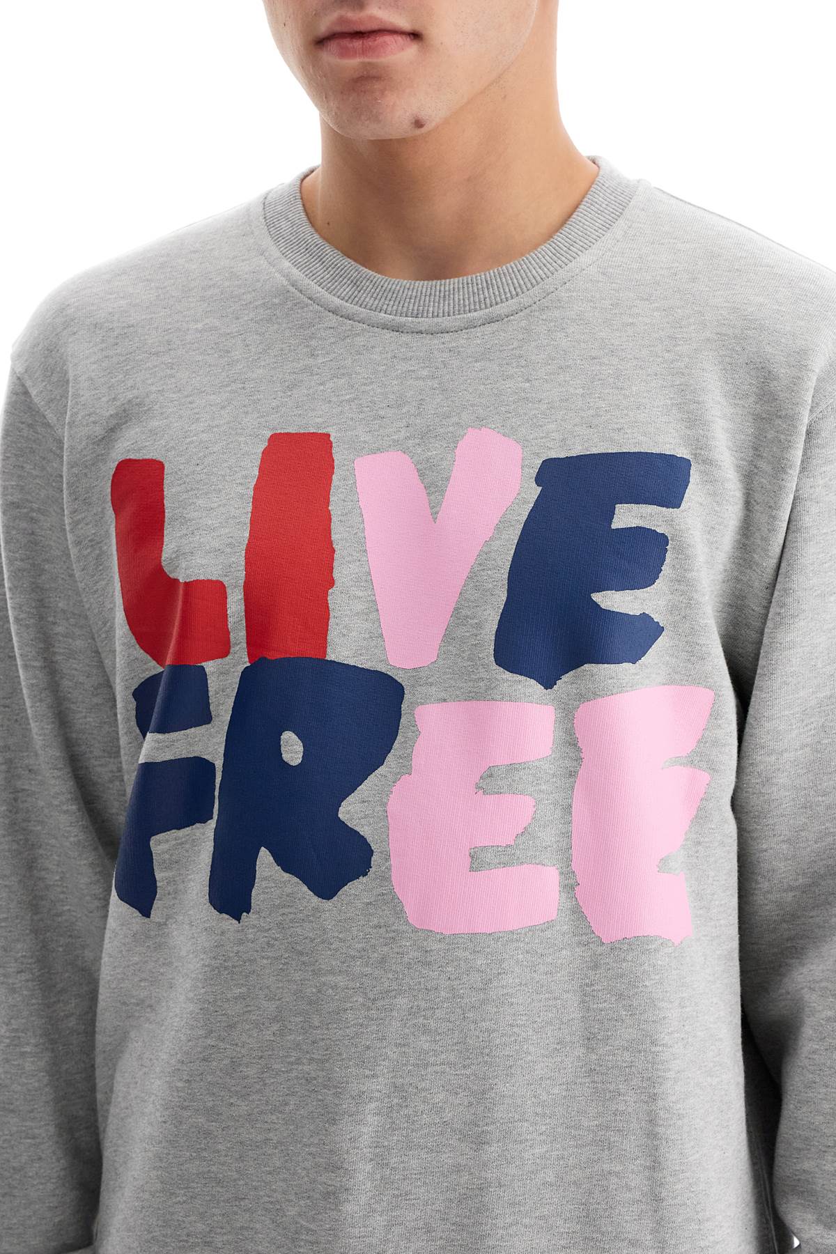 Comme des Garçons SHIRT Live Free Hooded Sweatshirt image 3