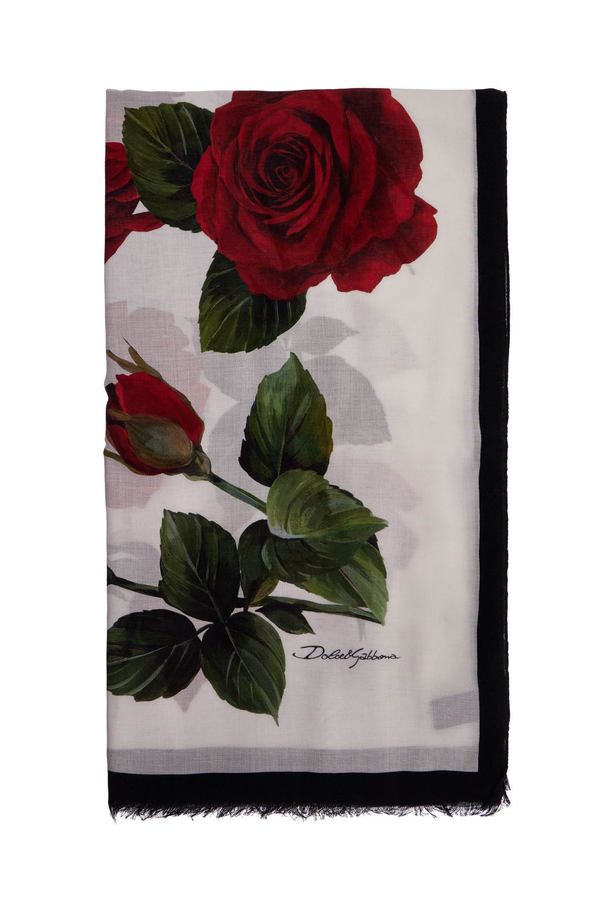 Dolce & Gabbana Rose Print Silk Blend Scarf for Women image 0