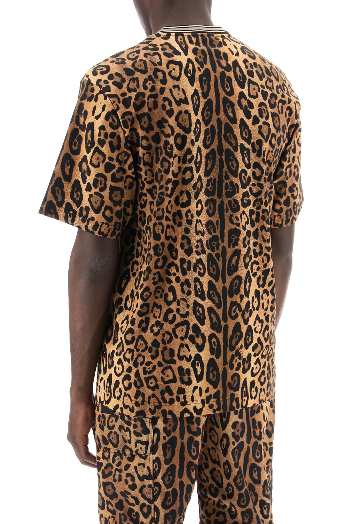 Dolce & Gabbana leopard print t-shirt with image 2